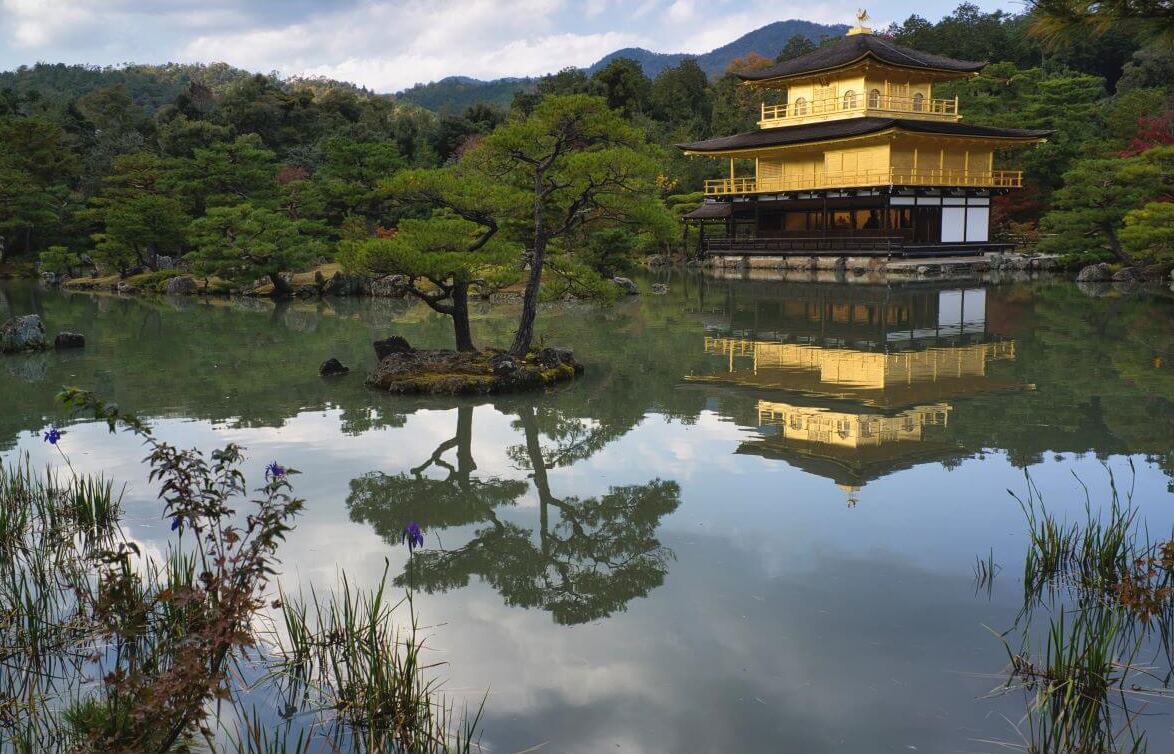 Kyoto Golden Palace as an example of original, high-quality content | b-seenontop.com